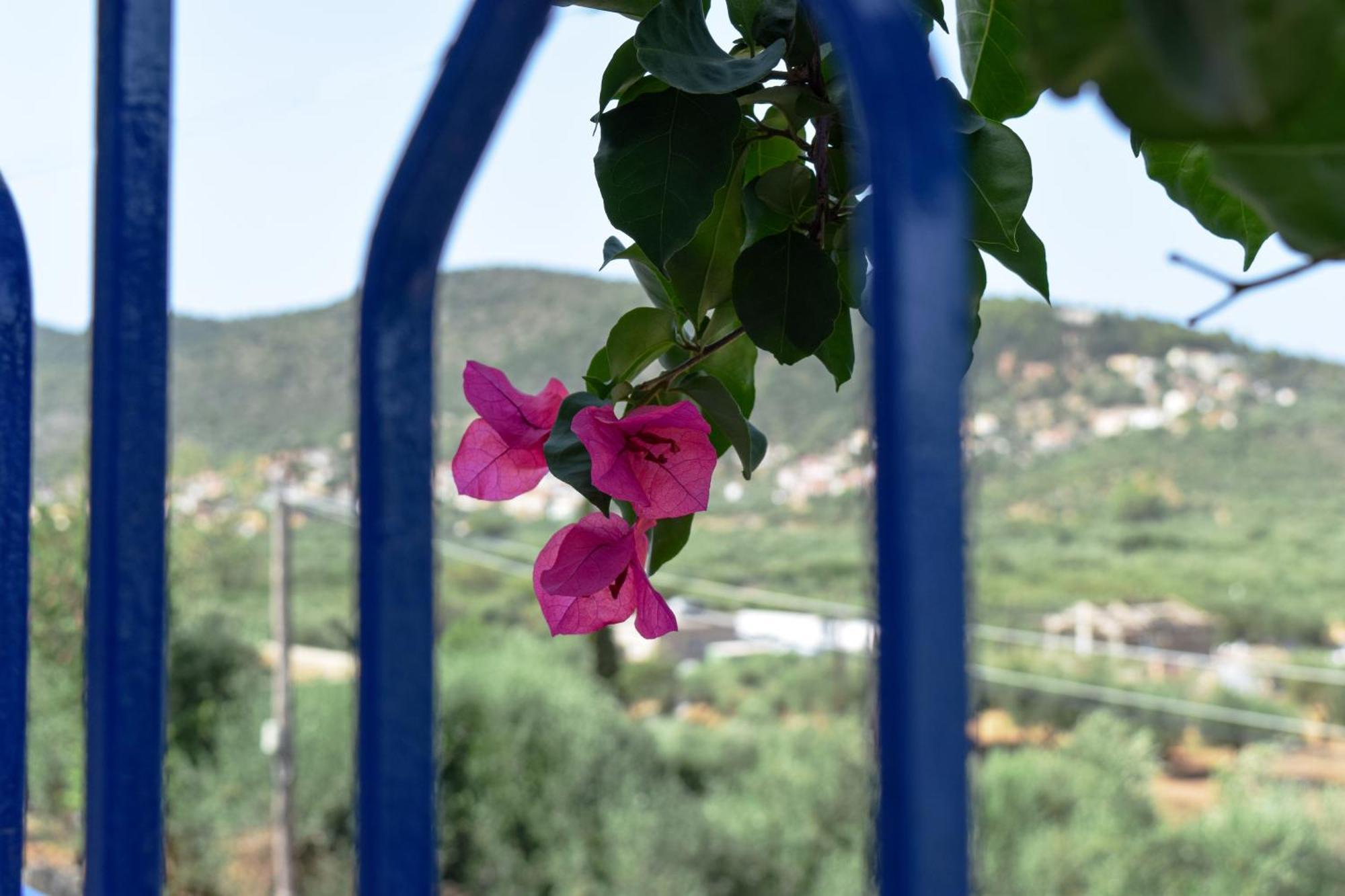 Val Di Compare Apartments Vathy  Luaran gambar